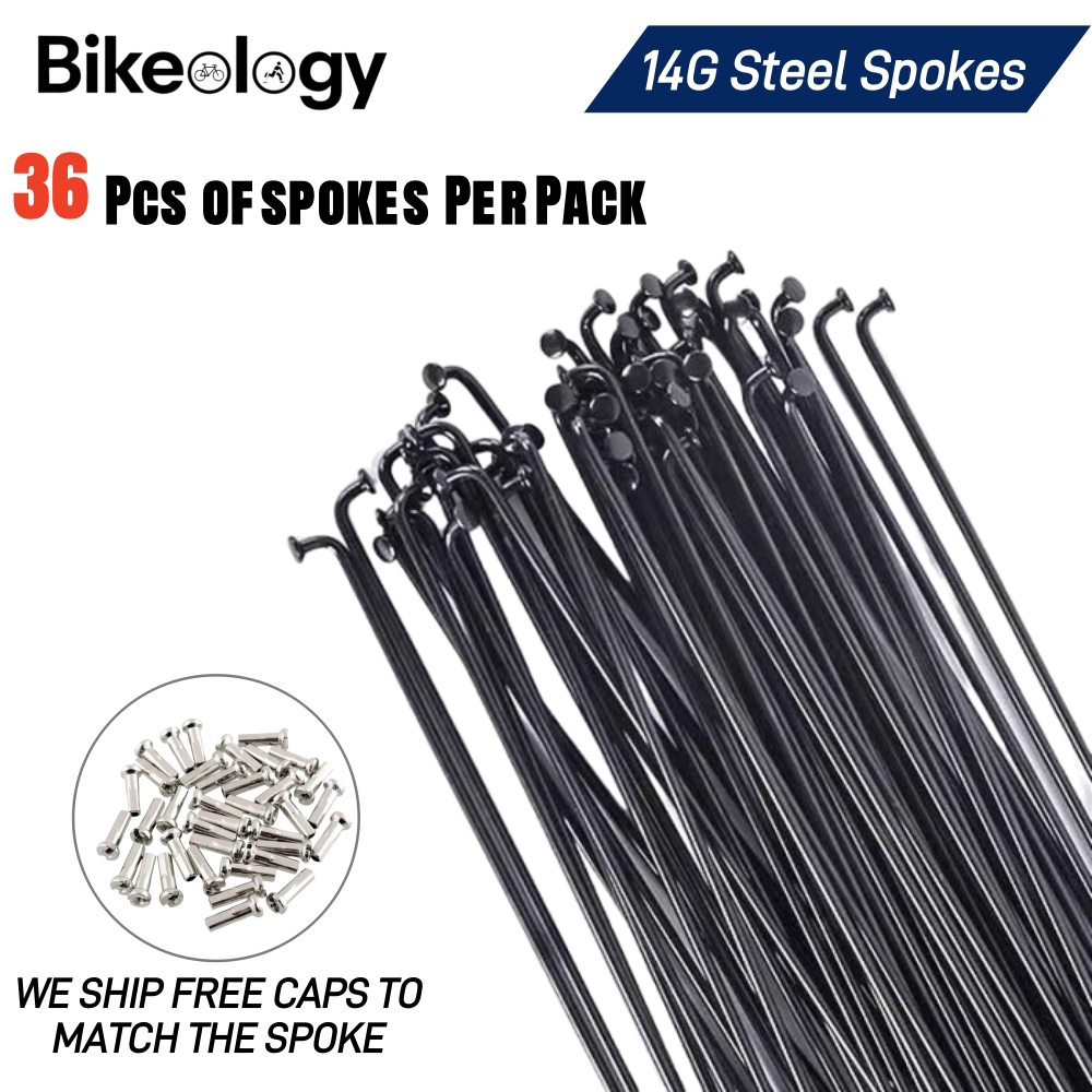 36pcs Bicycle Spokes Bike Whee - Spoke Nipple Brass recensie en prijs