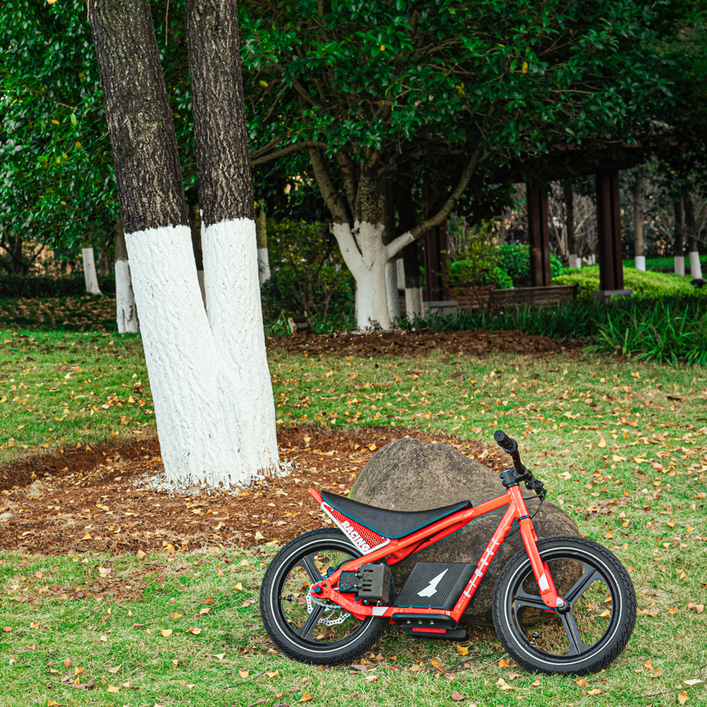Factory Wholesale Price Childr - Mountain Biking For Kids recensie en prijs
